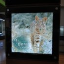 문경자연생태박물관 이미지