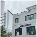 디어 에스테틱