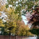 양반숯불가든 | 기다릴 가치가 있는 고초장 구이 : 산청숯불가든