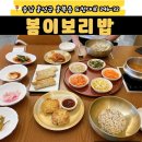 보리밥이야기 | 가족 외식 추천 홍성맛집, 봄이보리밥 내돈내산 후기