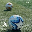 멕시카나 영대점 | 4월 정리 111111