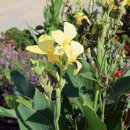 온도계 조형물 이미지