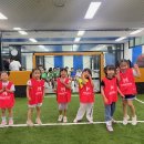 지혜샘유치원 이미지