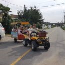 해피그린농장 이미지