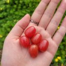 보리수제과 | 누군가의 시작과 끝, 2025년 5,6월의 기록