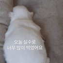 [전주맛집] 1박2일 전주 먹방 투어 :: 베테랑칼국수, 삼백집 솔직후기