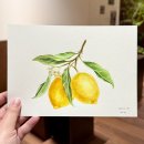 수채화(취미) | 방배동 취미미술 ㅣ 서리화실 수채화 그림 원데이클래스 후기