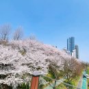 삼성25공인중개사사무소 이미지