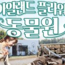 아일랜드플라워카페