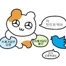 욜로 - 성주군 포천계곡로 803 | 욜로