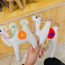 낙타샵 이미지