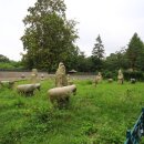 유강원 | 7월 서울시 이달의 문화재로 뽑힌 순명비 유강원 석물 - 서울 어린이대공원