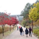 사라수변공원 이미지