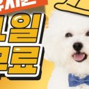 옐레드 부천상동점 이미지