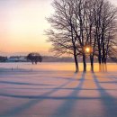 아름다운 그님 이미지