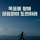 소흔 이미지