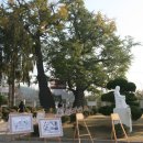 면천초등학교 이미지