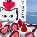 돌산 진모축구장 이미지