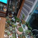 언덕배기 해오름집 이미지