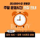 미녀와 야수짐 이미지