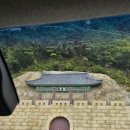 서부 어르신사랑방 | 강원도 여행 1 (영월 가볼만한 곳 요선암 돌개구멍, 동강 붉은메밀꽃축제, 별마로천문대)