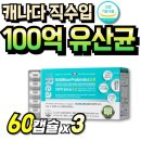 알파 이미지