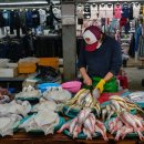 대정오일시장 이미지