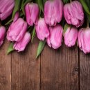 아이티플러스 이미지