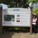 성호3차아파트 옆 이미지