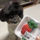 복실방앗간 이미지