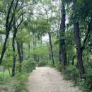 초안산헬기장 이미지