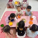 정토원광어린이집 이미지