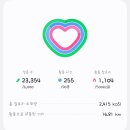 86 | 서산 여행 추천 국내 몇없는 청벚꽃과 풍성한 겹벚꽃 명소 서산 개심사 막차 탑승 후기
