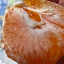 씨유 의정부회룡점 | 까마득한 2월 기록 (feat. 2월 32일이라고)