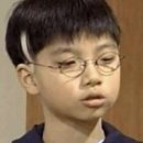 스테이보나 | 양평 용문사 템플스테이 가을 주말 체험형 후기｜다시 만난 용문사 은행나무