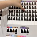 은지헤어 | 오송 미용실 추천 아이디헤어 은지쌤 봄맞이 염색 후기
