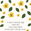 (주)손안에세상 네이버블로그