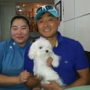 중앙애견 이미지