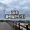 경풍루 | [경주 풍력발전단지] 뻥 뚫린 시원한 뷰! 경주 애견동반 가능 드라이브코스!