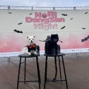 요술펫 | 2025 놀이댕산 할로윈파티 후기