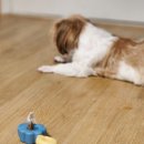 뭉치푸드 | 아츄템 #7 | 딱딱한 간식도 푸드 간식 클립으로 안전하게! 바잇미 이지 바이트 그립 사용 후기