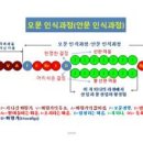 시창작강의 - (181) 대상과 인식 과정 - ③ 관점과 미적 지각의 유형 -㉮ 피상적 지각과 기계적 지각/ 시인 오규원 이미지