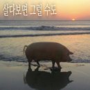 탕후루…