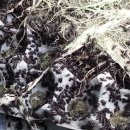 판수농장 이미지