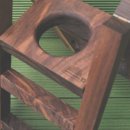 예쁜커피나무 이미지