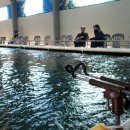 수원 락 실내바다 낚시터 이미지