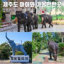 스테이빌레하임 | 제주도 아이와 가볼만한곳 점보빌리지 제주투어패스 입장권 사용처 이용방법