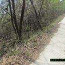 오동목장 이미지