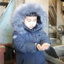 견학정미소 이미지