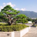 청라회관 이미지